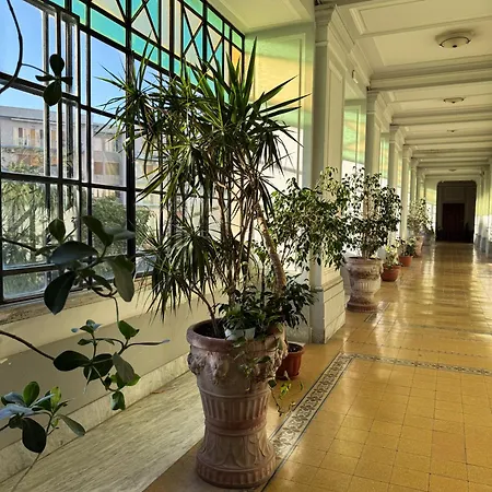 Bonito29 - Temporary ナポリ